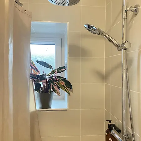 Joy's River * 基洛格林