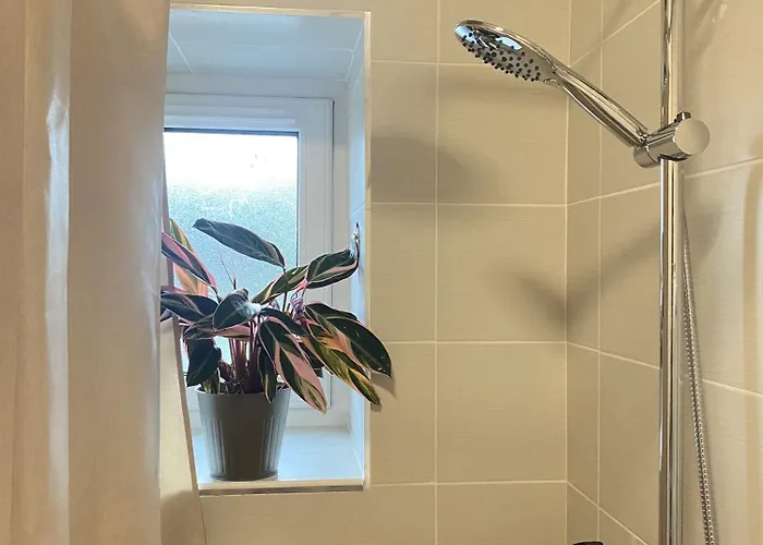 Joy's River * Killorglin